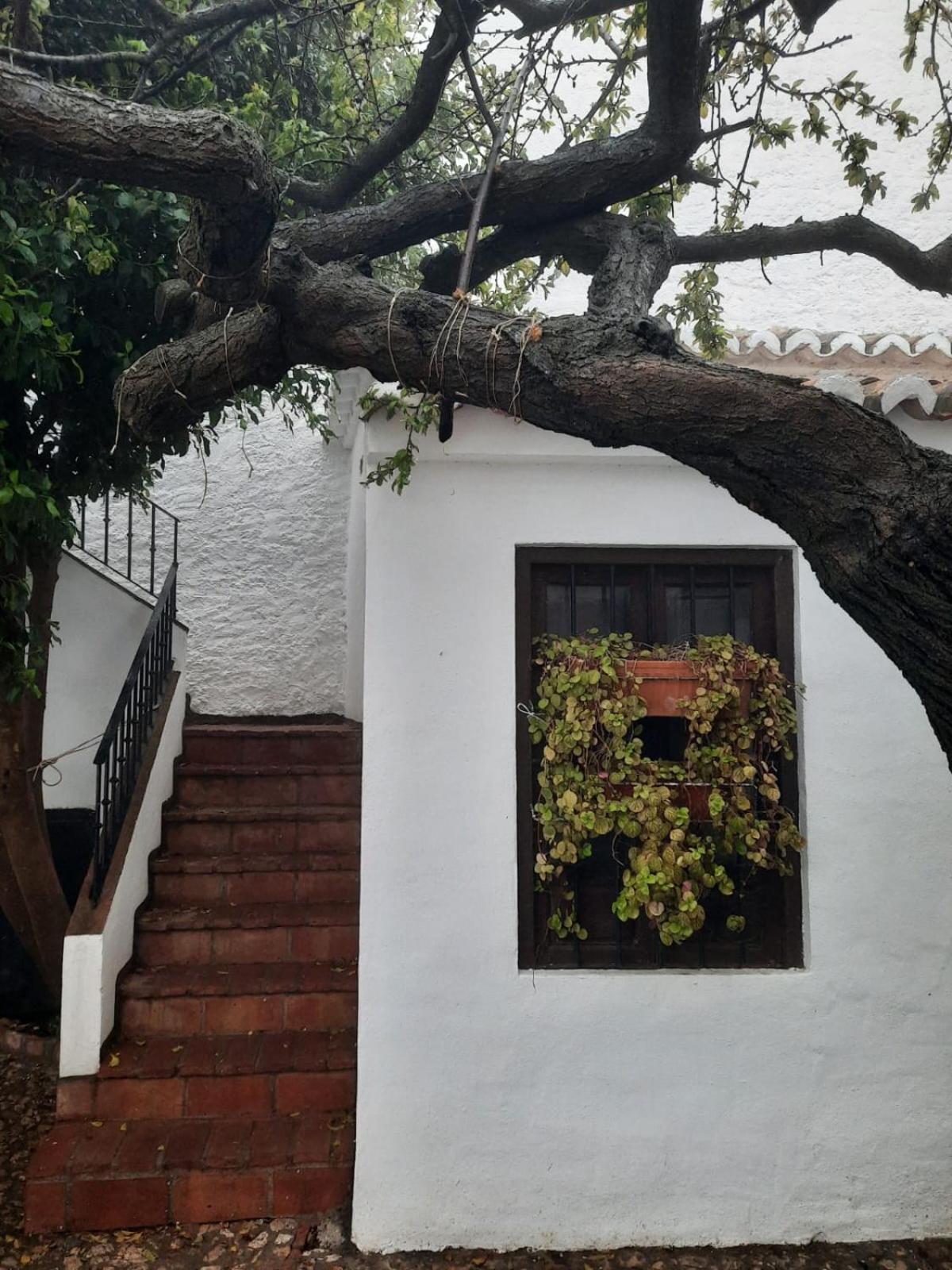 Hotel Rural Verde Oliva Comares Room photo