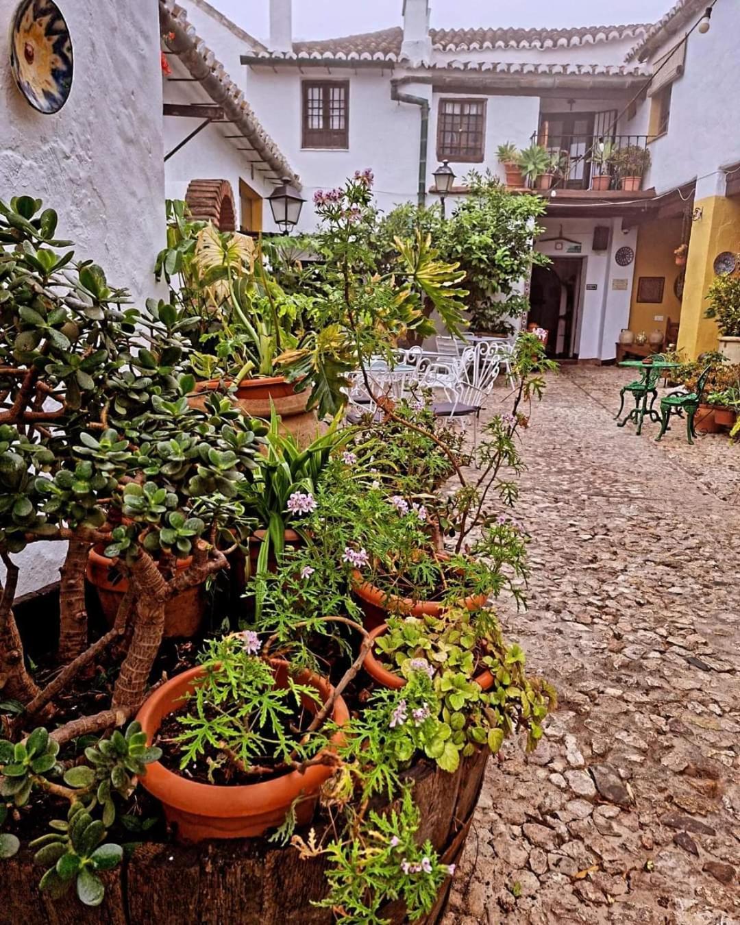 Hotel Rural Verde Oliva Comares Exterior photo
